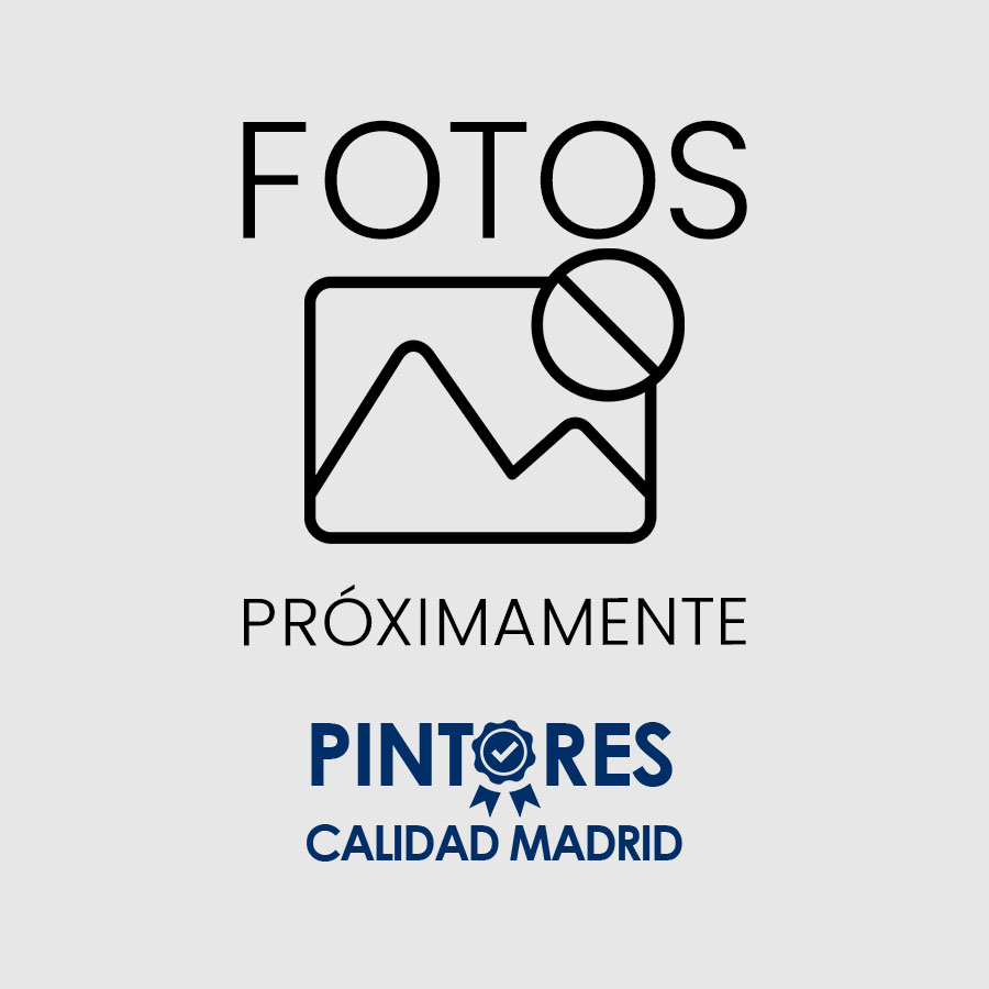 Pintores madrid